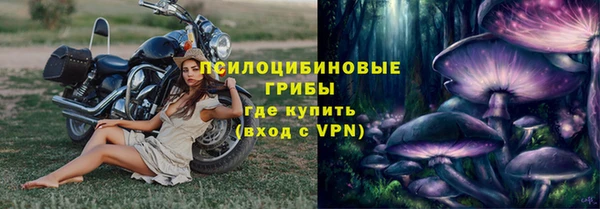 сатива Александровское