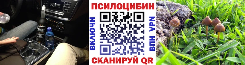 Галлюциногенные грибы мухоморы Верхняя Пышма