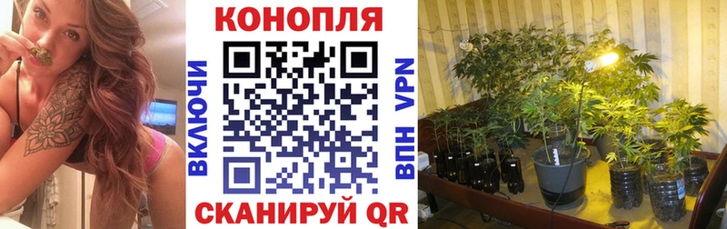 наркота  Верхняя Пышма  Шишки марихуана AK-47 